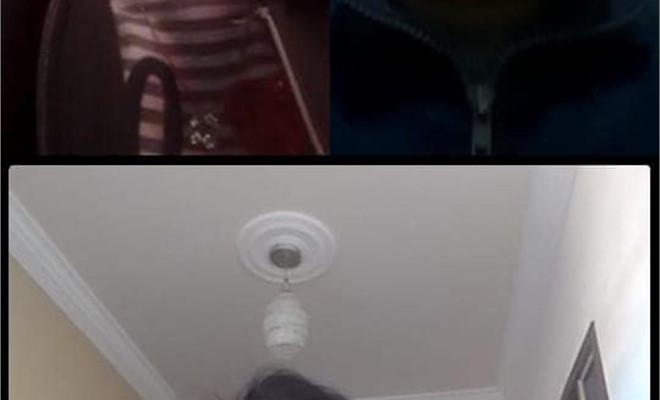 O 5 � ano A - Atendimentos coletivos, via aplicativo do WhatsApp