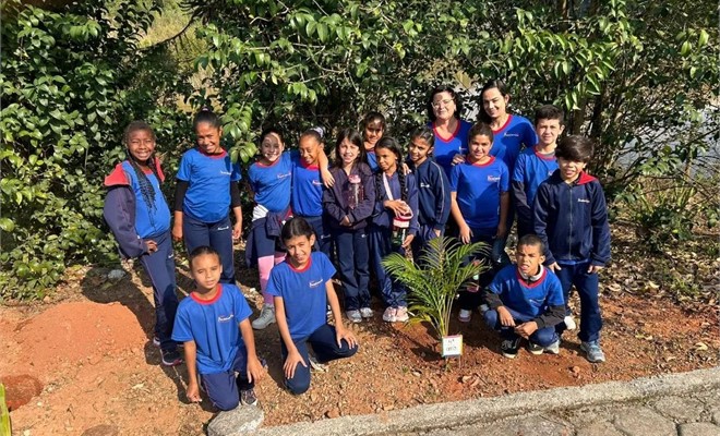 4� Ano- Plantando uma Arvore