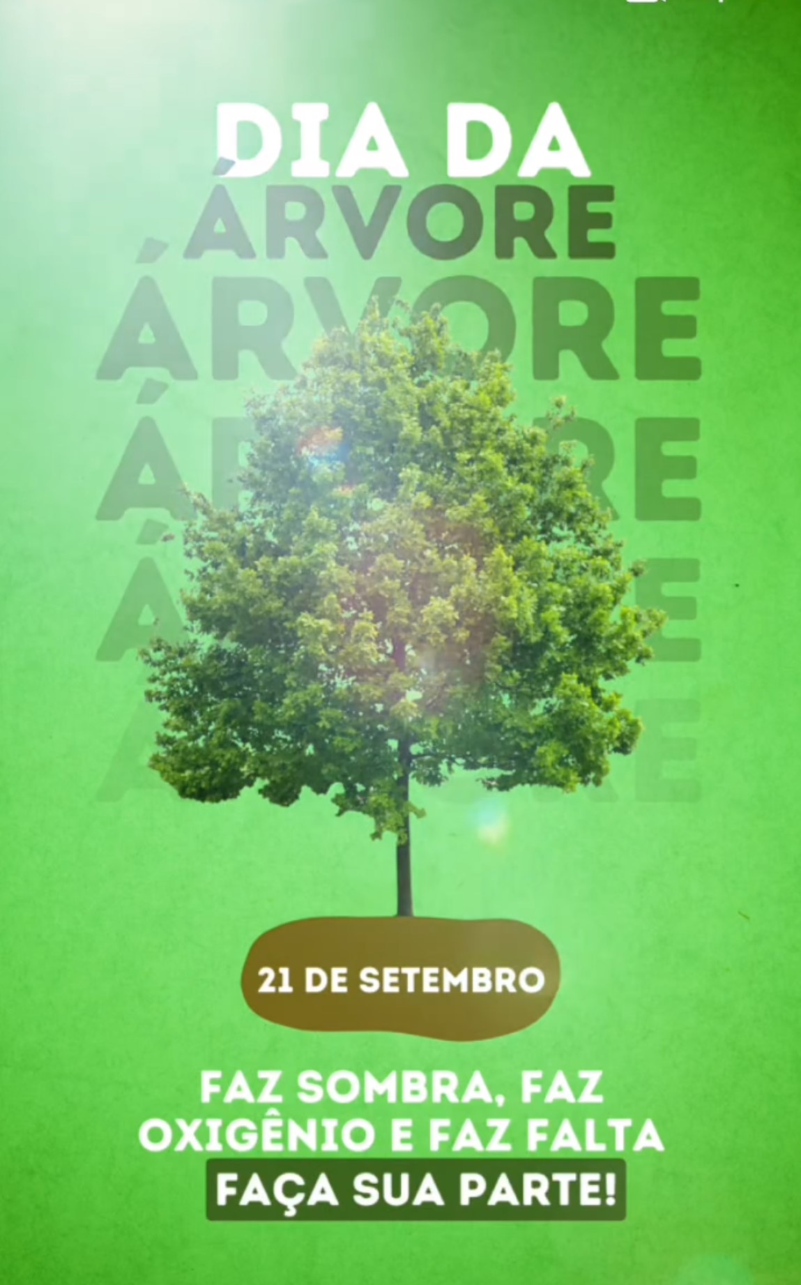 Dia da �rvore Col�gio Passionista Santa Luzia