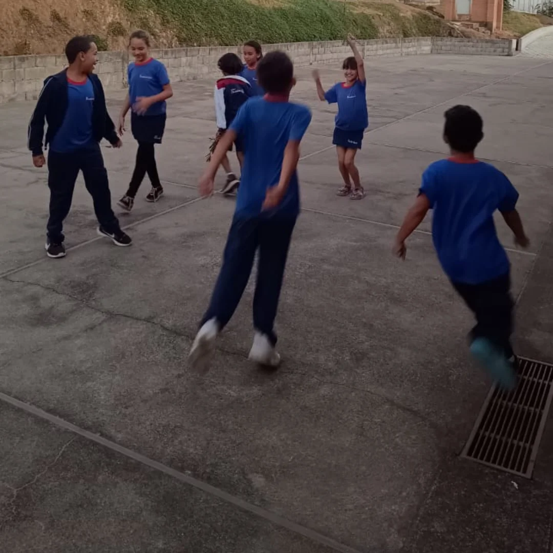 Pique - bandeira Col�gio Passionista Santa Luzia